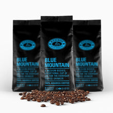 Load image into Gallery viewer, Blue Mountain
